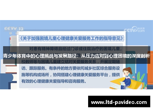 青少年体育中的心理挑战与发展路径：从压力应对到心理困境的深度剖析