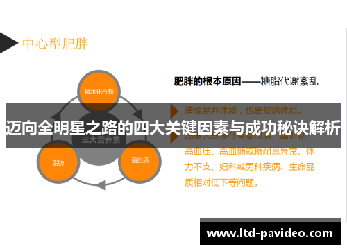 迈向全明星之路的四大关键因素与成功秘诀解析