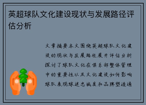 英超球队文化建设现状与发展路径评估分析