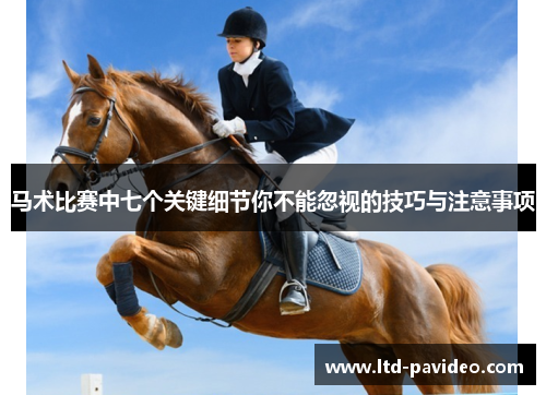 马术比赛中七个关键细节你不能忽视的技巧与注意事项