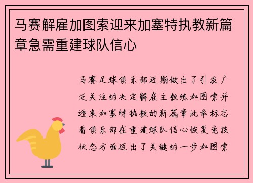 马赛解雇加图索迎来加塞特执教新篇章急需重建球队信心